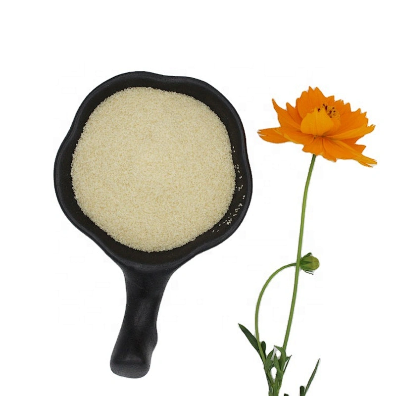 Food additive Bovine bone gelatin Halal gelatin Halal bovine bone gelatin